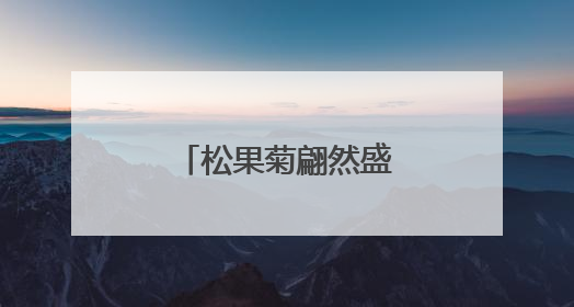 松果菊翩然盛开，像夏天写给大地的情书