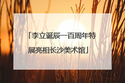李立诞辰一百周年特展亮相长沙美术馆
