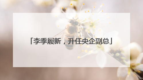 李季履新，升任央企副总