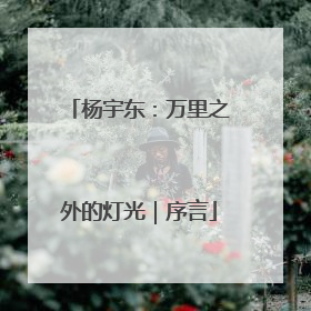 杨宇东：万里之外的灯光｜序言