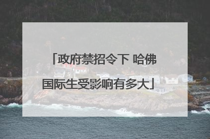 政府禁招令下 哈佛国际生受影响有多大