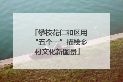 攀枝花仁和区用“五个一”描绘乡村文化新图景
