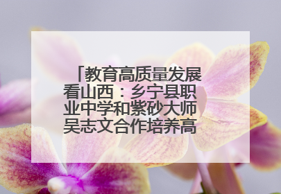 教育高质量发展看山西：乡宁县职业中学和紫砂大师吴志文合作培养高素质技能人才