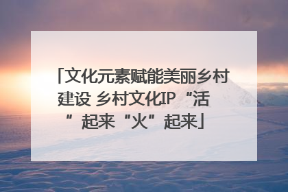 文化元素赋能美丽乡村建设 乡村文化IP“活”起来“火”起来