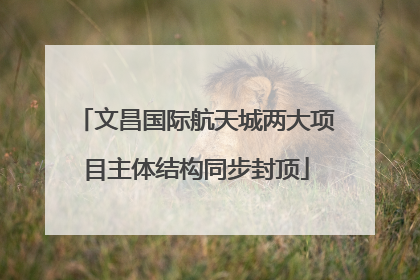 文昌国际航天城两大项目主体结构同步封顶