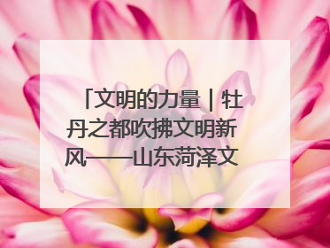 文明的力量｜牡丹之都吹拂文明新风——山东菏泽文明创建一线见闻