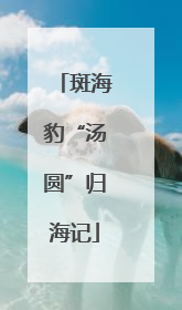 斑海豹“汤圆”归海记