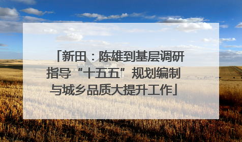 新田：陈雄到基层调研指导“十五五”规划编制与城乡品质大提升工作