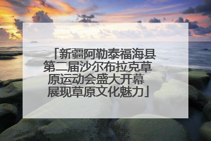 新疆阿勒泰福海县第二届沙尔布拉克草原运动会盛大开幕 展现草原文化魅力
