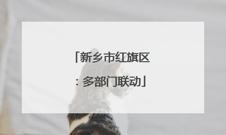 新乡市红旗区：多部门联动