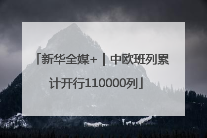 新华全媒+｜中欧班列累计开行110000列