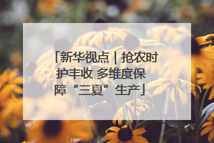 新华视点｜抢农时 护丰收 多维度保障“三夏”生产
