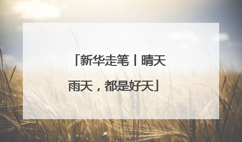 新华走笔丨晴天雨天，都是好天
