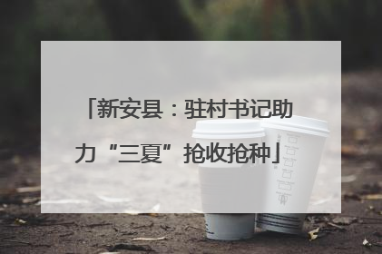 新安县：驻村书记助力“三夏”抢收抢种
