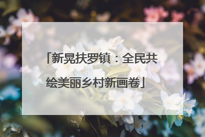 新晃扶罗镇：全民共绘美丽乡村新画卷