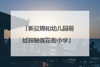 新晨锦和幼儿园萌娃探秘莲花街小学