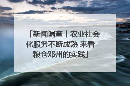 新闻调查丨农业社会化服务不断成熟 来看粮仓邓州的实践