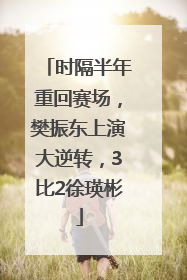 时隔半年重回赛场，樊振东上演大逆转，3比2徐瑛彬