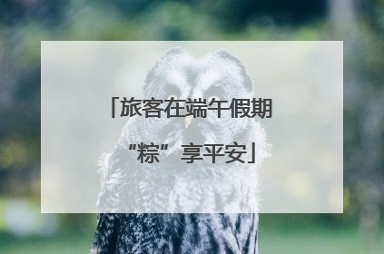 旅客在端午假期“粽”享平安