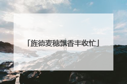 旌德麦穗飘香丰收忙