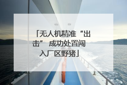 无人机精准“出击” 成功处置闯入厂区野猪