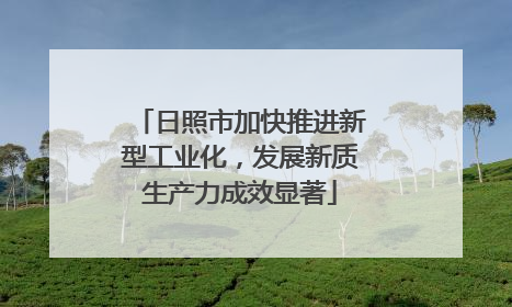 日照市加快推进新型工业化，发展新质生产力成效显著