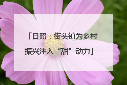 日照：街头镇为乡村振兴注入“甜”动力
