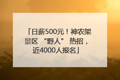 日薪500元！神农架景区 “野人” 热招，近4000人报名