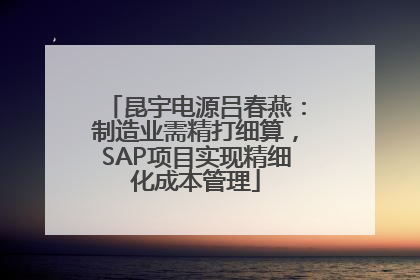 昆宇电源吕春燕：制造业需精打细算，SAP项目实现精细化成本管理