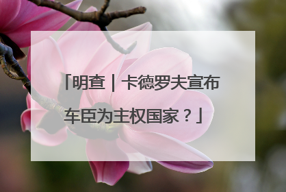 明查｜卡德罗夫宣布车臣为主权国家？