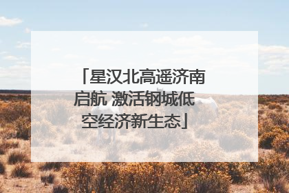 星汉北高遥济南启航 激活钢城低空经济新生态