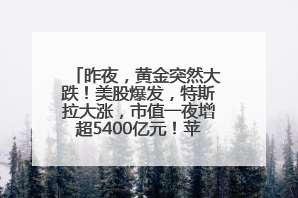 昨夜，黄金突然大跌！美股爆发，特斯拉大涨，市值一夜增超5400亿元！苹果传来大消息