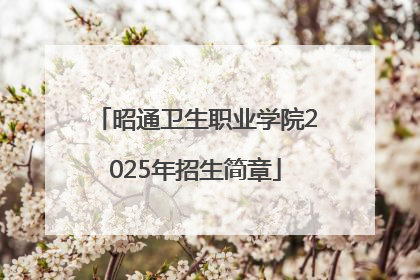 昭通卫生职业学院2025年招生简章