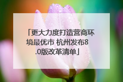 更大力度打造营商环境最优市 杭州发布8.0版改革清单
