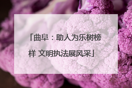 曲阜：助人为乐树榜样 文明执法展风采