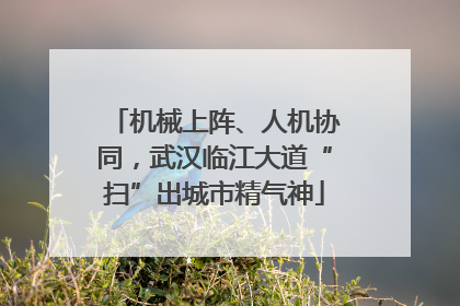 机械上阵、人机协同，武汉临江大道“扫”出城市精气神