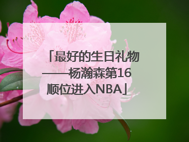 最好的生日礼物——杨瀚森第16顺位进入NBA