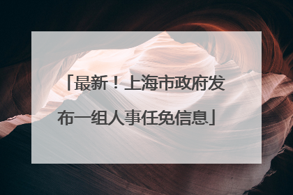 最新！上海市政府发布一组人事任免信息