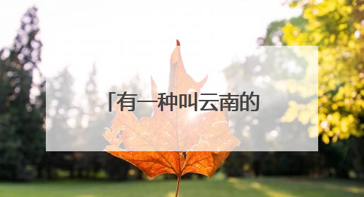 有一种叫云南的生活·旅居云南｜菌有信 人赴约