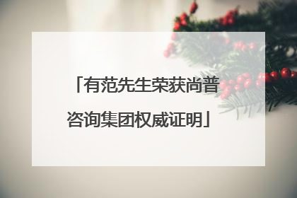 有范先生荣获尚普咨询集团权威证明