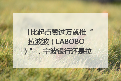 比起点赞过万就推“拉波波（LABOBO）”，宁波银行还是拉业绩吧｜财经辣评