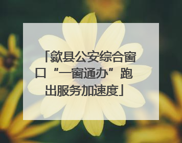歙县公安综合窗口“一窗通办”跑出服务加速度