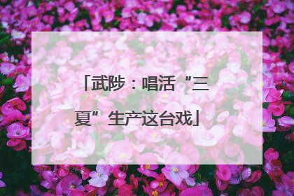 武陟：唱活“三夏”生产这台戏