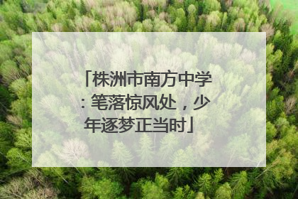 株洲市南方中学：笔落惊风处，少年逐梦正当时