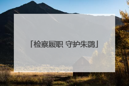 检察履职 守护朱鹮