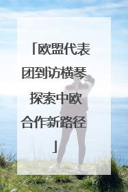 欧盟代表团到访横琴 探索中欧合作新路径