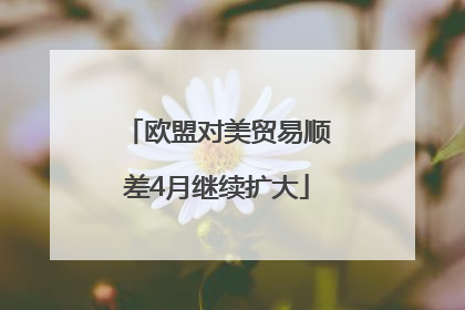 欧盟对美贸易顺差4月继续扩大