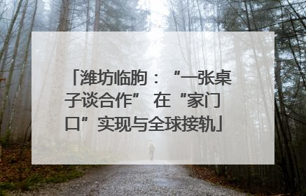 潍坊临朐：“一张桌子谈合作” 在“家门口”实现与全球接轨