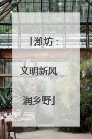 潍坊：文明新风润乡野