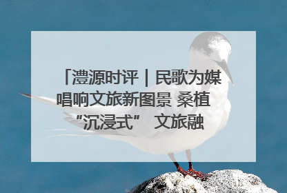 澧源时评｜民歌为媒唱响文旅新图景 桑植 “沉浸式” 文旅融合的破圈启示